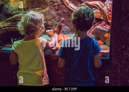 Little Boy and girl watching tropical coral fish in large sea life tank. Kids at the zoo aquarium Stock Photo