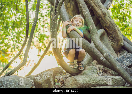 boy watching tropical lianas in wet tropical forests Stock Photo