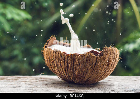 Coconut fruit and milk splash inside it on a background of a palm tree Stock Photo