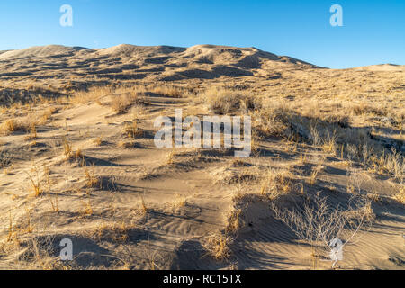 Wind blown ripples in a sand dune doted with plants, Kelso Sand Dunes, Mojave National Preserve, California Stock Photo