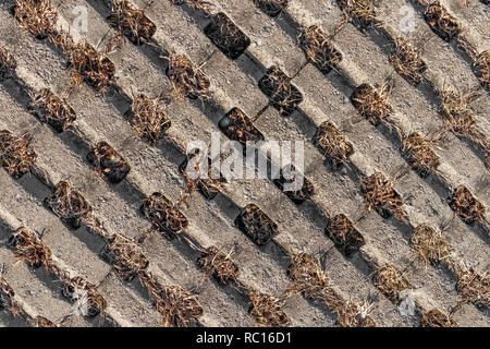 Background of paving stones with holes for grass growth in a public park. Stock Photo