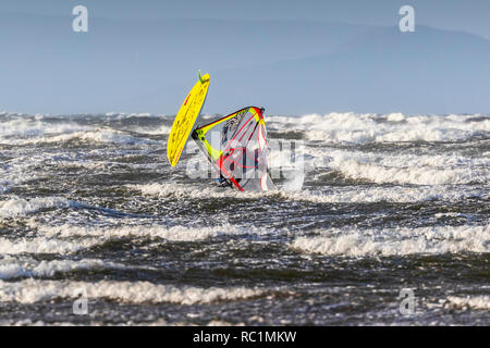 Firth of Clyde, Troon, Scotland. 13th January 2019. In the strong gales blowing across the Firth of Clyde, with wind speeds in excess of 50mph, members of the local windsurfing club from Troon, Ayrshire like to show off their skills and balance. Sometimes their acrobatic manoeuvres are impressive and sometimes don't quite end up as they would want! Credit: Findlay/Alamy Live News Stock Photo