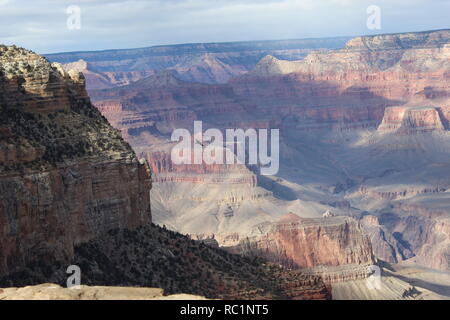 bird flying over grand canyon Stock Photo