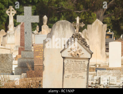 View of multiple headstones at the West Terrace Cemetery in Adelaide, South Australia, Australia. Stock Photo