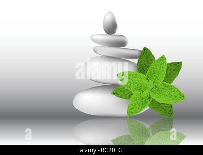 Mint herb leaves with white stones vector illustration Stock Vector