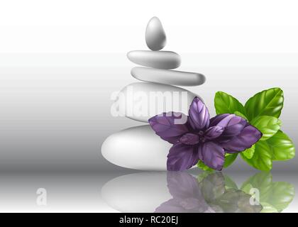 Basil herb leaves and stones, vector illustration Stock Vector