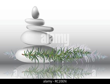 Rosemary herb leaves with stones, vector illustration Stock Vector