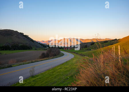 Vineyard of the Santa Maria valley, California. Stock Photo