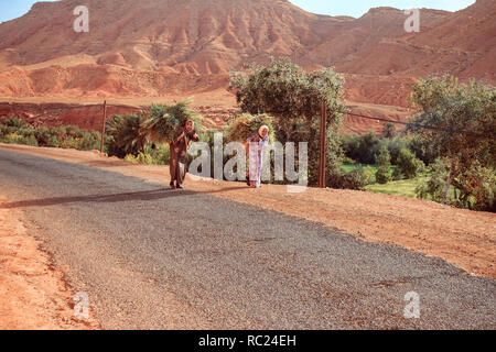 Tamedakhte, Morocco - October 9, 2015: Old berber woman is carrying on shoulders large sheaves of hay in a traditional berber village in the mountains in Morocco Stock Photo