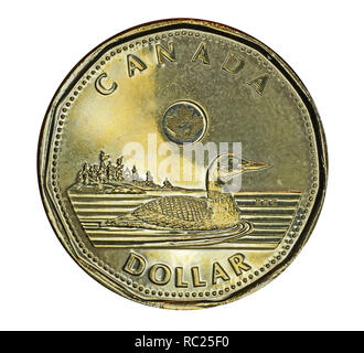 OTTAWA - JANUARY 2019:  Canada's one dollar coin features a loon, a common waterfoul in Canada's wilderness areas. Stock Photo