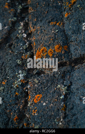Lava field and lichen , La Geria, Lanzarote Island, Canary Islands, Spain, Europe Stock Photo