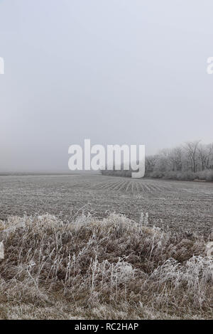 Frozen fog, the fog freezes on surface of environment when temperature is cold enough. Stock Photo