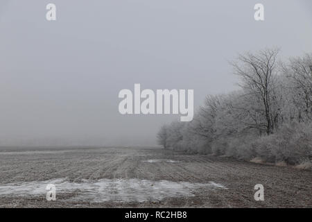 Frozen fog, the fog freezes on surface of environment when temperature is cold enough. Stock Photo