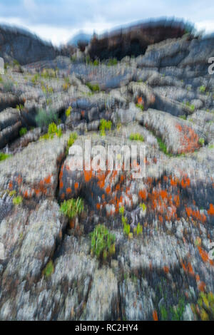 Bejeque, Lava field and lichens , La Geria, Lanzarote Island, Canary Islands, Spain, Europe Stock Photo
