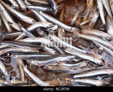 Medterranean fish exposed at open seamarket, Naples Stock Photo