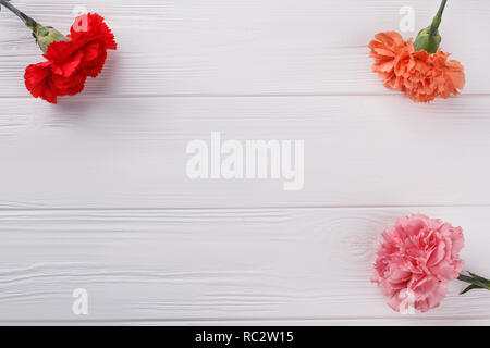 Carnation flowers on wood and copyspace. White wooden background. Stock Photo