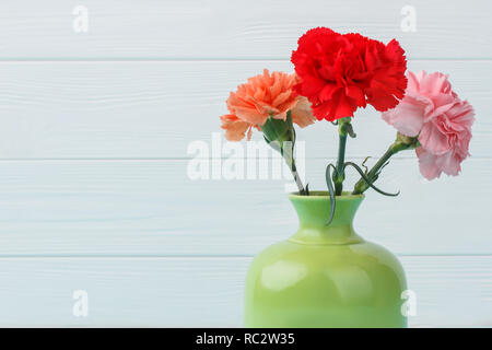 Multicolored carnation flowers in a vase. White wooden background. Stock Photo