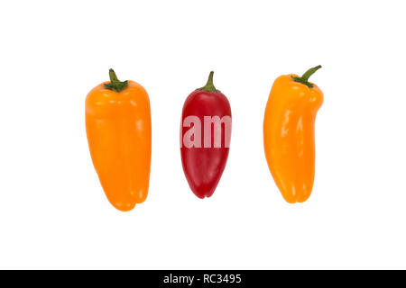 rc3496