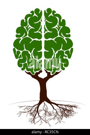 A tree in the form of a human brain. Two hemispheres. Green plant for an article on knowledge and teaching Stock Vector