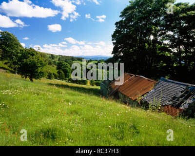 Abandoned farm buildings and flowery meadow in the Clwydian Hills from Offa's Dyke Path. Aifft, Bodfari, Denbighshire, North Wales. Stock Photo