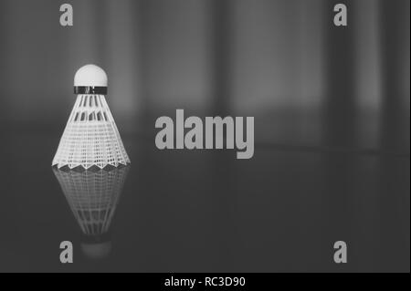 White badminton shuttlecocks an reflection. Black and white Stock Photo