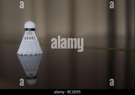 White badminton shuttlecocks an reflection Stock Photo