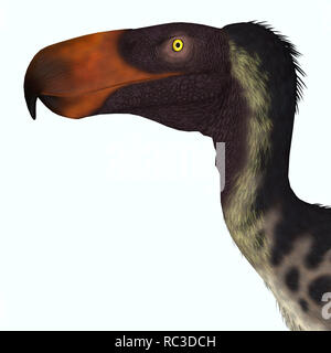 Kelenken Bird - Kelenken was a carnivorous 'Terror bird' that lived in Argentina during the Miocene Period. Stock Photo
