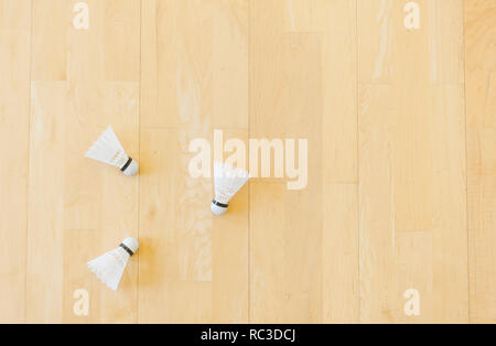 White badminton shuttlecocks on hall floor at badminton courts. Stock Photo