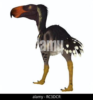 Kelenken Bird - Kelenken was a carnivorous 'Terror bird' that lived in Argentina during the Miocene Period. Stock Photo