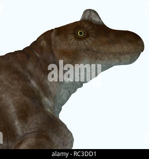 Keratocephalus was a semi-aquatic herbivore dinosaur that lived in the