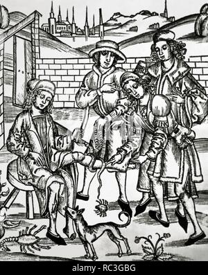 Medicine. 15th century. A man is cured due to the injures caused by dangerous animals: a rabid dog, an scorpion and a snake. Woodcut  in 'Dies ist das buch der chirurgia' (This is the book of surgery). Stock Photo