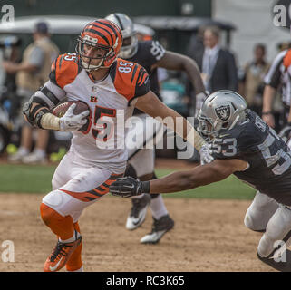 Cincinnati Bengals tight end Tyler Eifert tries hauls in a pass against ...