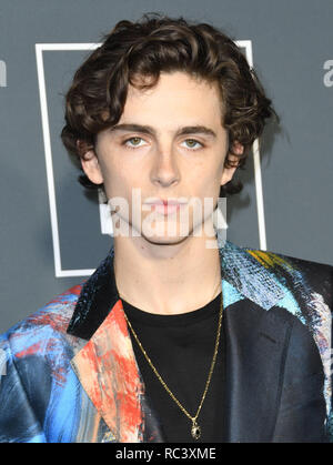 Santa Monica, California, USA. 13th Jan, 2019. TIMOTHEE CHALAMET arrives for The 24th Annual Critics' Choice Awards held at Barker Hangar. Credit: Birdie Thompson/AdMedia/ZUMA Wire/Alamy Live News Stock Photo