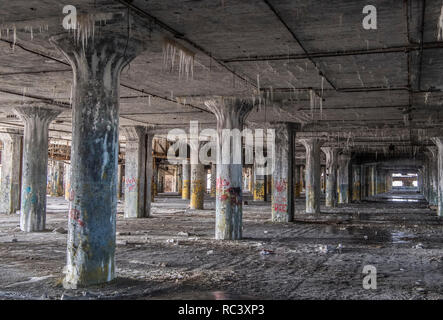 Detroit, USA. 13th Jan, 2019. The former production hall of the car manufacturer 'Fisher' is completely dilapidated and partly in danger of collapsing. With the decline of the car industry, the social problems of the city also grew. Credit: Boris Roessler/dpa/Alamy Live News Stock Photo