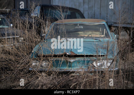 Detroit, USA. 13th Jan, 2019. Cars rust on the premises of a scrap and used car dealer. With the decline of the car industry, the social problems of the city also grew. Credit: Boris Roessler/dpa/Alamy Live News Stock Photo