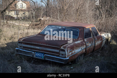 Detroit, USA. 13th Jan, 2019. High grass grows around an old Chevrolet, which is exposed to total decay on an open-air site. With the decline of the car industry the economic misery of the city began. Credit: Boris Roessler/dpa/Alamy Live News Stock Photo