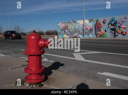 Detroit, USA. 13th Jan, 2019. A red hydrant and graffiti on house facades dominate the picture on a thoroughfare. With the decline of the car industry, the social problems of the city also grew. Credit: Boris Roessler/dpa/Alamy Live News Stock Photo