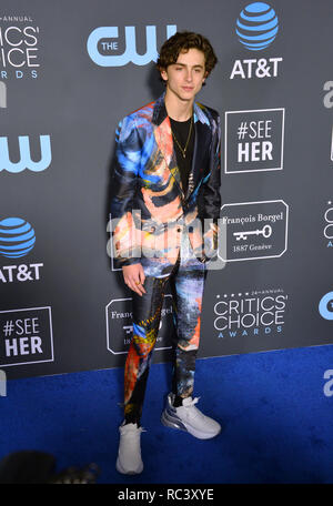 Santa Monica, California, USA. 13th Jan, 2019. SANTA MONICA, CA. January 13, 2019: Timothee Chalamet at the 24th Annual Critics' Choice Awards in Santa Monica. Picture: Paul Smith/Featureflash Credit: Paul Smith/Alamy Live News Stock Photo