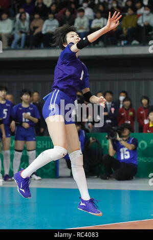 musashino-forest-sports-plaza-