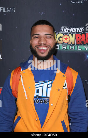 Funimation Films' 'Dragon Ball Super: Broly' Movie Premiere held at the TCL Chinese Theatre in Los Angeles, California on December 13, 2018  Featuring: Blaine Hodge Where: Los Angeles, California, United States When: 13 Dec 2018 Credit: Sheri Determan/WENN.com Stock Photo