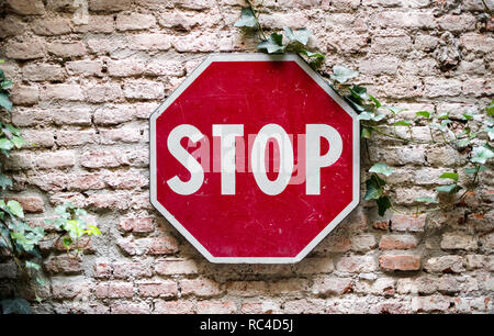 Stop road sign attached to brick wall with ivy plant, viewed from the front in close-up and full frame Stock Photo