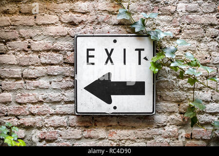 Exit direction sign with black arrow pointing to the left. White metal square plate attached to old brick wall with ivy plant. Viewed in close-up and  Stock Photo