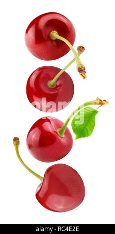 Flying fresh cherry berries isolated on white  Stock Photo
