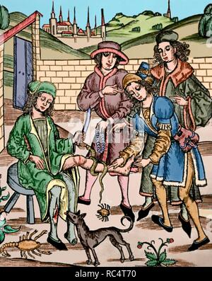 Medicine. 15th century. A man is cured due to the injures caused by dangerous animals: a rabid dog, an scorpion and a snake. Woodcut  in 'Dies ist das buch der chirurgia' (This is the book of surgery). Colored. Stock Photo
