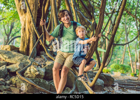 father and son watching tropical lianas in wet tropical forests Stock Photo