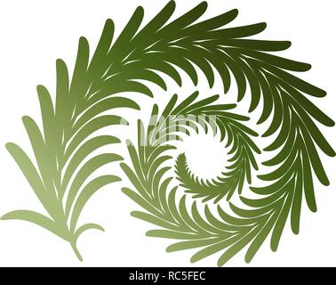 Twig fern curl. Vector image isolated on white. Eps 10 Stock Vector