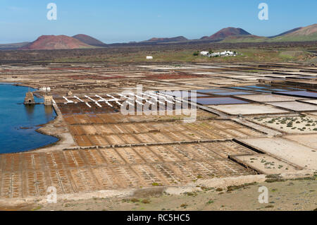 Salinas del Janubio, Salt flats near Playa Blanca, Lanzarote, Canary Islands, Spain. Stock Photo