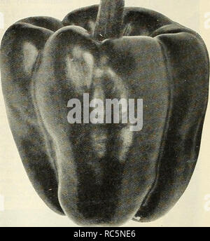 1927 reliable vegetable seeds, flower 