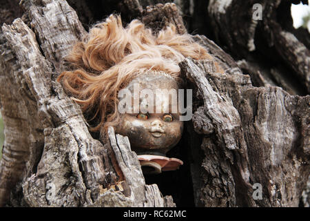 A terrifying burnt doll head inside a tree trunk Stock Photo