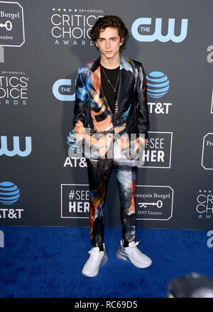 LOS ANGELES, CALIFORNIA - JANUARY 13: Timothee Chalamet attends the 24th Annual Critics’ Choice Awards at Barker Hangar on January 13, 2019 in Santa Monica, California. Photo: imageSPACE/MediaPunch Stock Photo